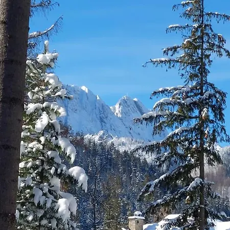 Проживание в семье Dom Pod Skocznia *