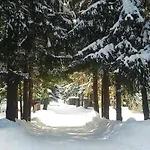 Homestay szállás Dom Pod Skocznia *