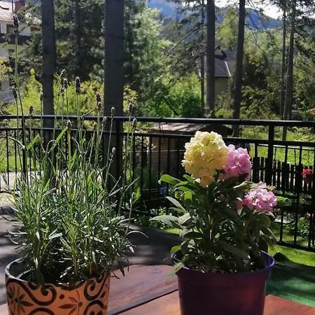 Dom Pod Skocznią * Zakopane