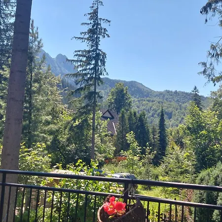 Dom Pod Skocznia Pansiyon Zakopane