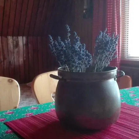 Dom Pod Skocznia Homestay *