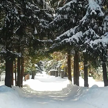 Pansiyon Dom Pod Skocznia *
